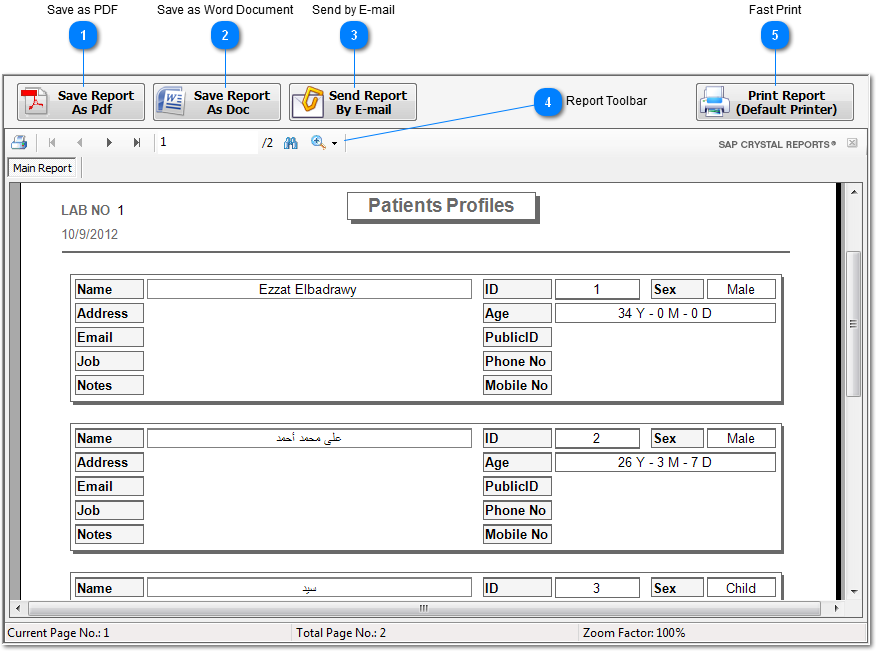 Patients Profiles Report