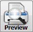 6. Preview Report