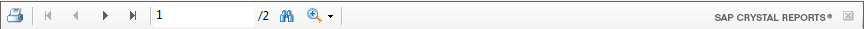 4. Report Toolbar
