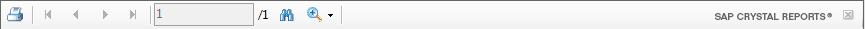 4. Report Toolbar