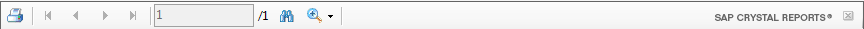 4. Report Toolbar