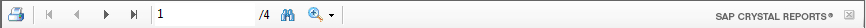 4. Report Toolbar